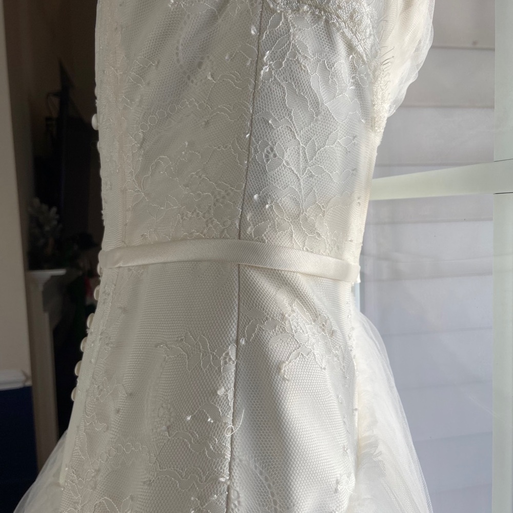 Zac Posen-Truly-Ivory Lace and Tulle Ballgown NWT - Picture 7 of 12